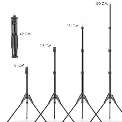 Dimensions du trépied lumière motifs gris