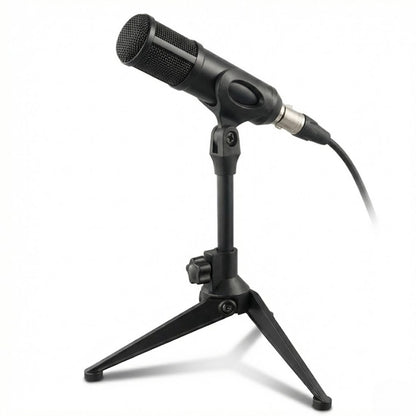 Micro sur le trépied portable